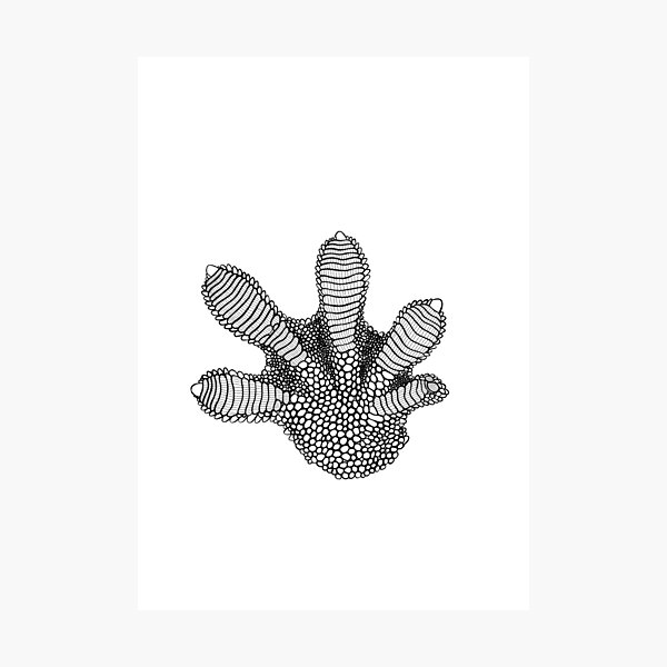Item preview, Detailed Crested Gecko Foot designed and sold by CRSDesign.
