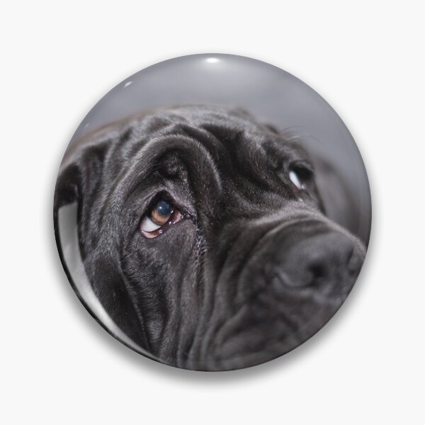 Item preview, Black female Neapolitan Mastiff puppy lying on an armchair designed and sold by brambillasimone.
