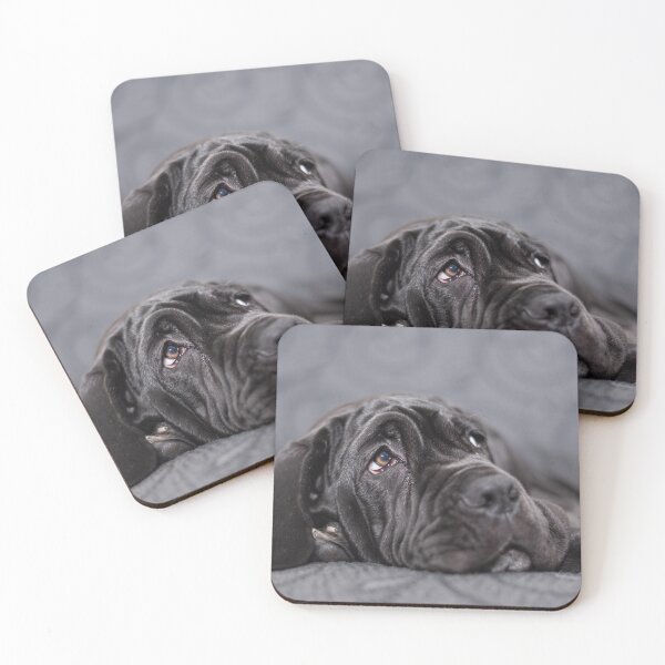 Item preview, Black female Neapolitan Mastiff puppy lying on an armchair designed and sold by brambillasimone.