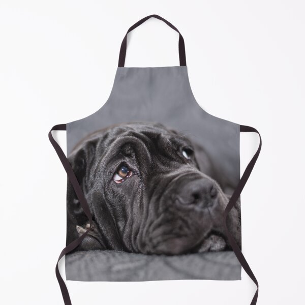 Item preview, Black female Neapolitan Mastiff puppy lying on an armchair designed and sold by brambillasimone.