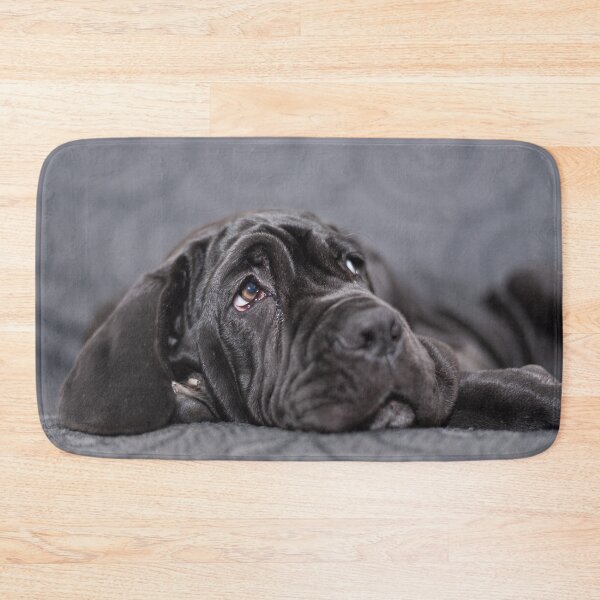 Item preview, Black female Neapolitan Mastiff puppy lying on an armchair designed and sold by brambillasimone.