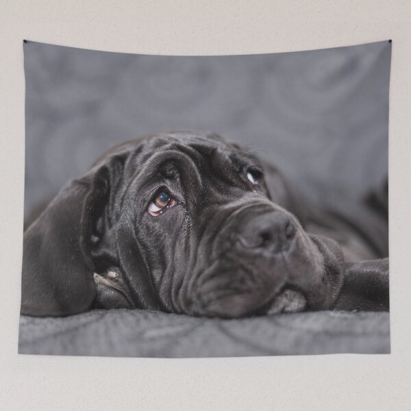 Item preview, Black female Neapolitan Mastiff puppy lying on an armchair designed and sold by brambillasimone.