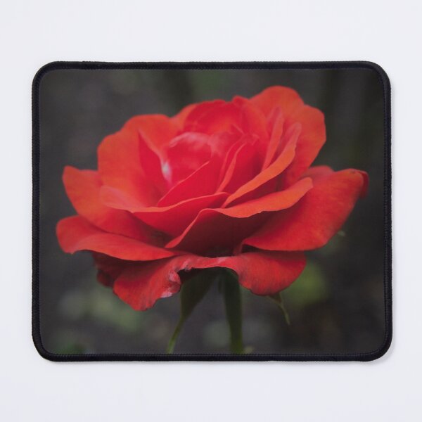 Item preview, Beauty In Nature designed and sold by Christine Lake.