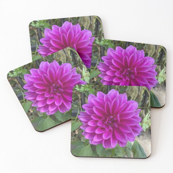 Item preview, Bright dhalia in fuchsia color designed and sold by Ponted.