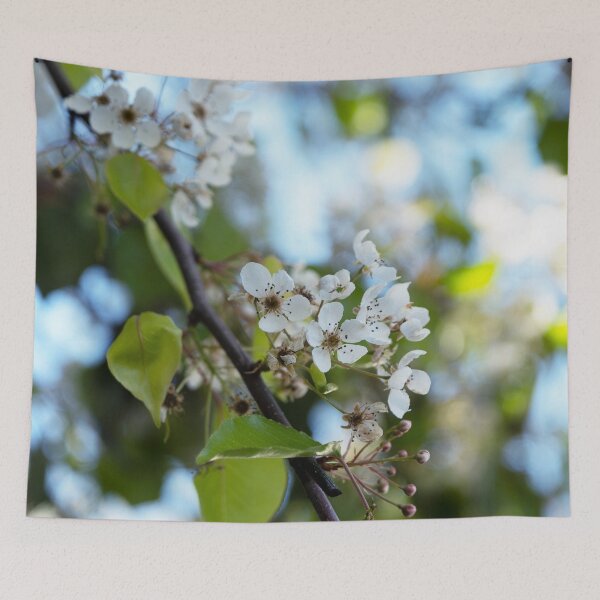 Item preview, Spring is All Around in Southern California! designed and sold by NancyKHajjar.