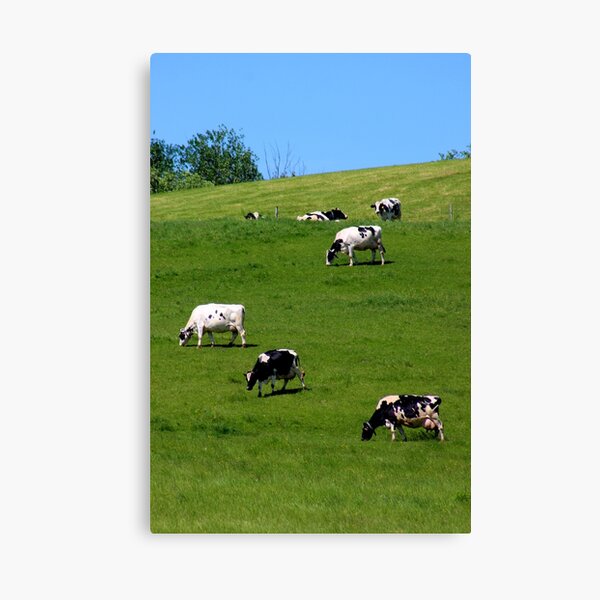 Dairy on the Hill Canvas Print