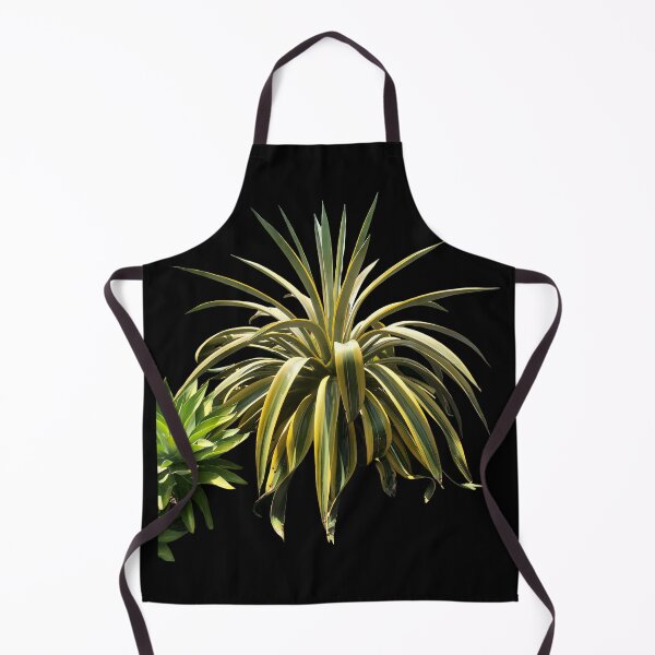 Item preview, Beautiful digital image of a Century Agave cactus designed and sold by Floradigital.
