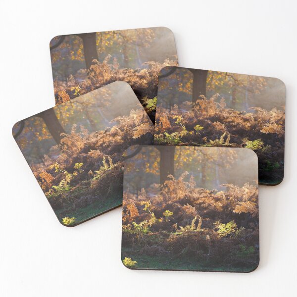 Item preview, Bracken Lit by Morning Light, Richmond Park designed and sold by Graham Prentice.