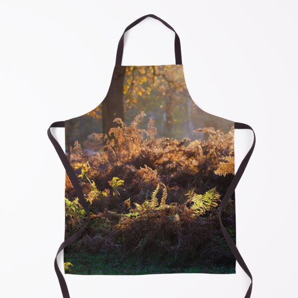 Item preview, Bracken Lit by Morning Light, Richmond Park designed and sold by Graham Prentice.
