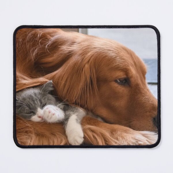 Item preview, Beautiful love between dogs and cats. designed and sold by PNG PAPER STUDIO.