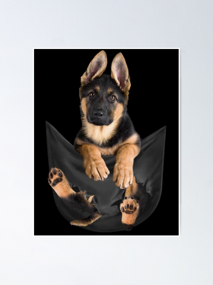 Pocket store german shepherd