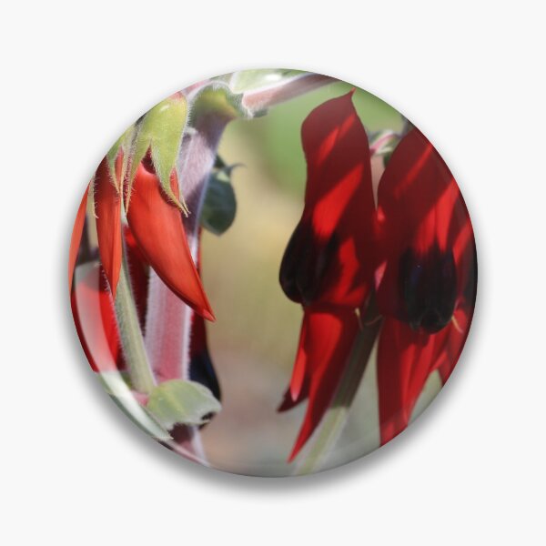 Item preview, Sturt Desert Pea designed and sold by Gillian Anderson LAPS, AFIAP.