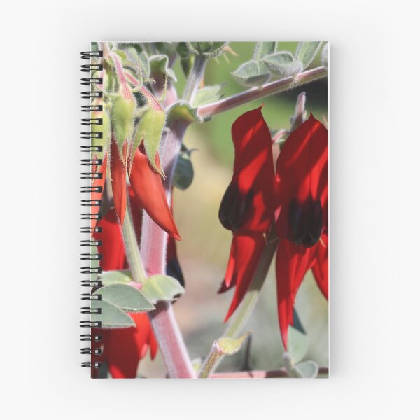 Item preview, Sturt Desert Pea designed and sold by Gillian Anderson LAPS, AFIAP.