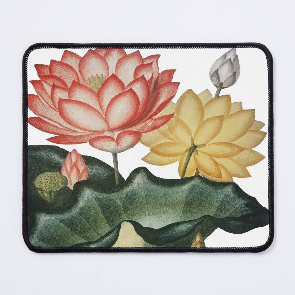 Item preview, vintage lotus waterlilies designed and sold by ZinZoe.