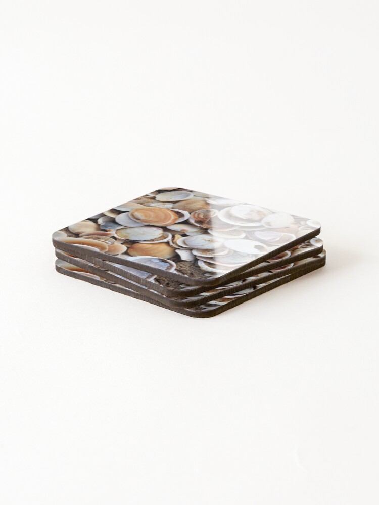 Thumbnail 4 of 5, Coasters (Set of 4), Shells designed and sold by Scully.