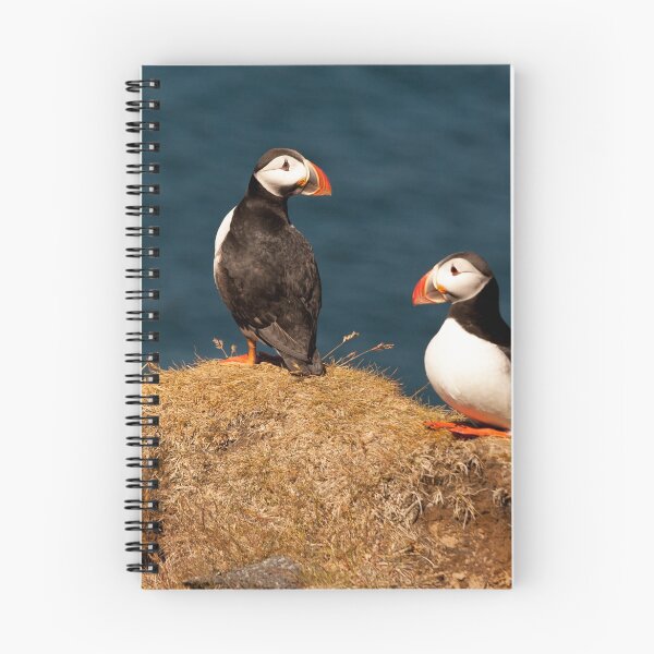 Item preview, A pair of Puffins designed and sold by Ben Champion.