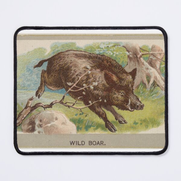 Item preview, Vintage Wild Boar designed and sold by FunFashionIdeas.
