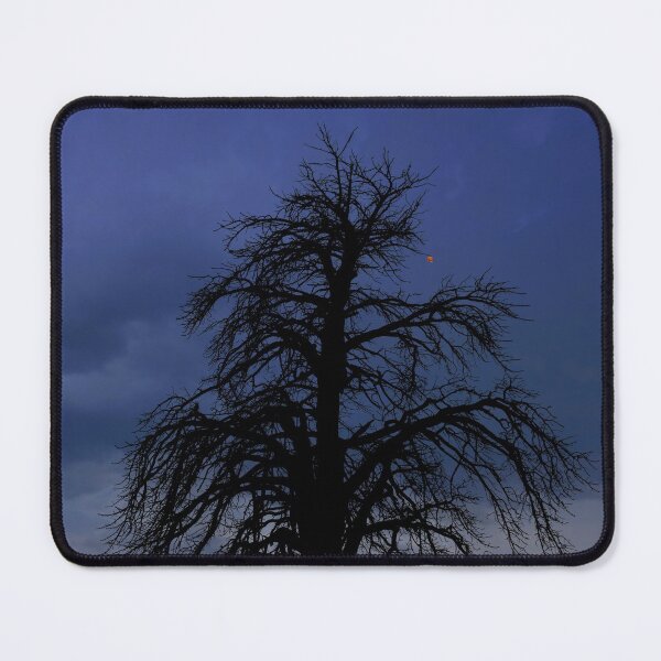 Item preview, The Last Leaf designed and sold by Alex Preiss.