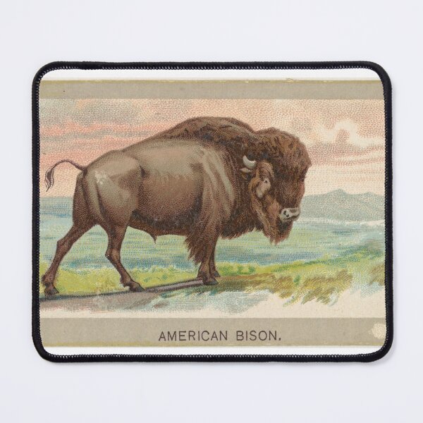 Item preview, Vintage American Bison designed and sold by FunFashionIdeas.