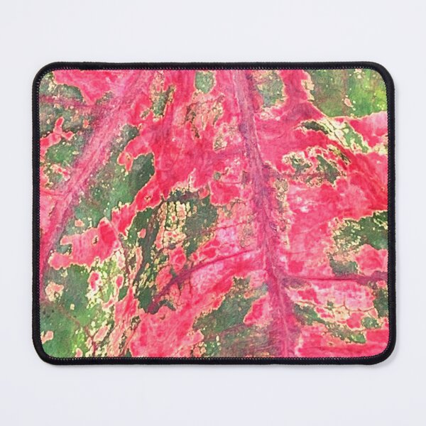 Item preview, red and green caladium leaf designed and sold by DKVanOss.