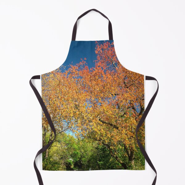 Item preview, Colourful canopy designed and sold by Joel Bader.