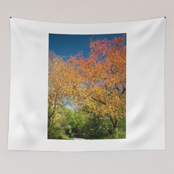 Item preview, Colourful canopy designed and sold by Joel Bader.