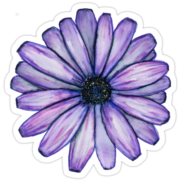 watercolor purple daisy flower stickers by electroslag redbubble