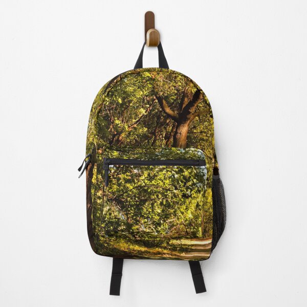 Item preview, Inside a woodland cathedral designed and sold by Joel Bader.