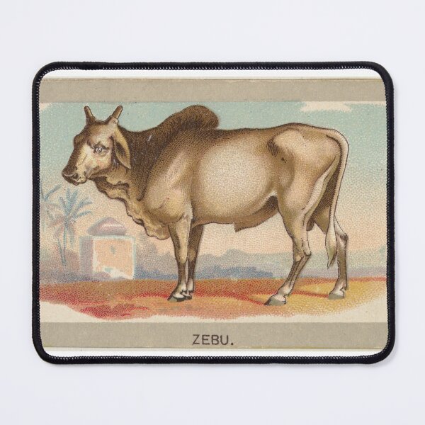 Item preview, Vintage Zebu designed and sold by FunFashionIdeas.