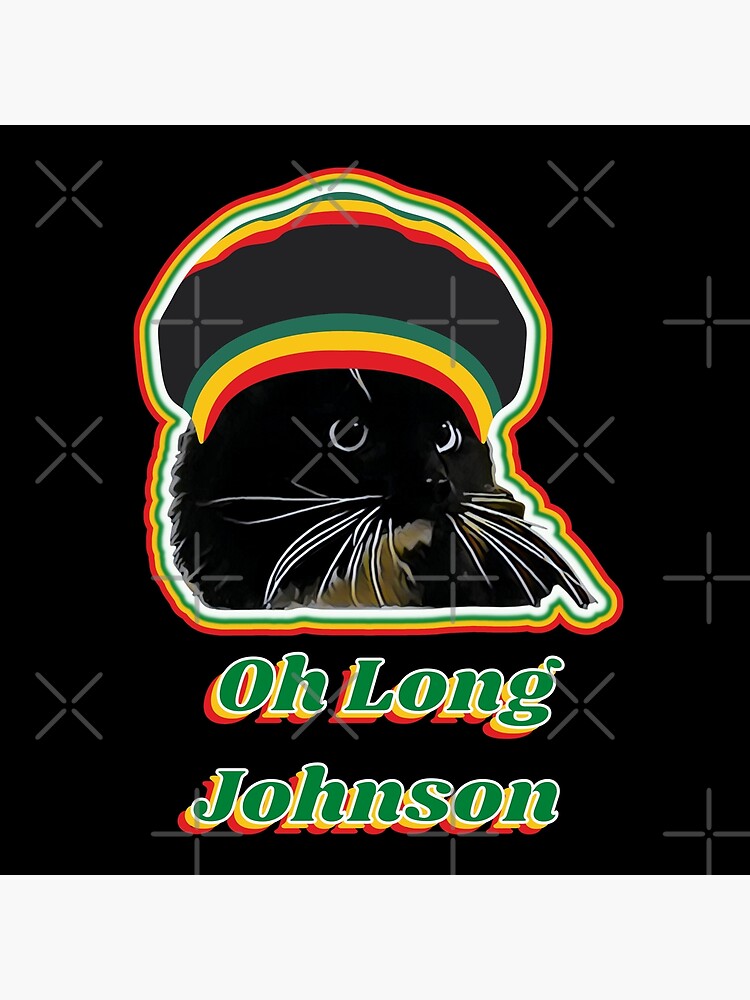 "Oh Long Johnson Cat, Oh Long Johnson, Why does the cat say Oh Long Johnson, Talking Cat says