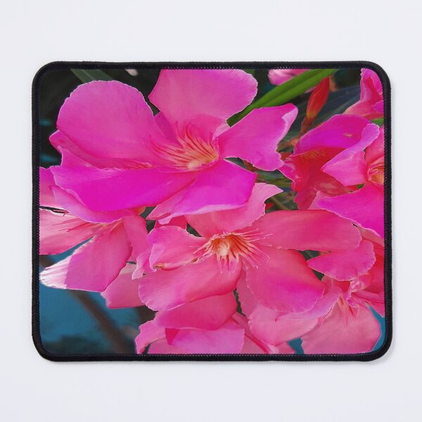 Item preview, chock pink flower designed and sold by paulossilva.