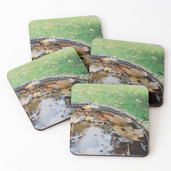 Item preview, Bird Bath designed and sold by RoseyElisabeth.
