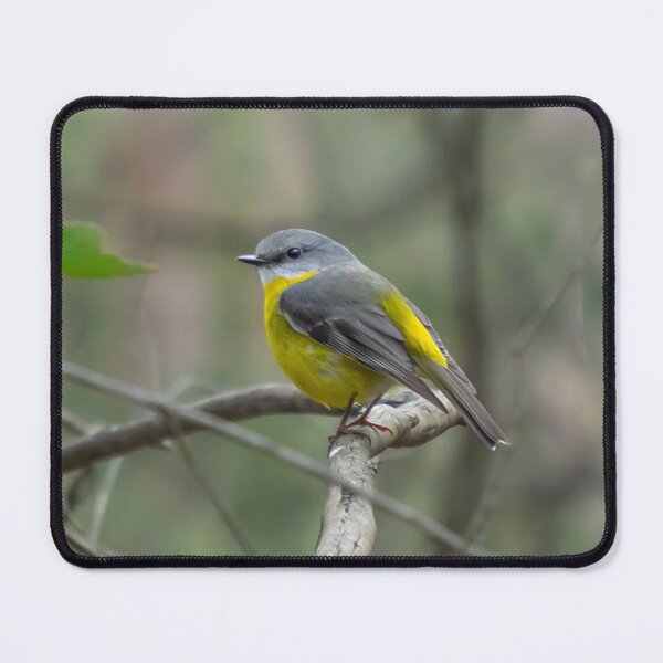 Item preview, Petirrojo amarillo del este designed and sold by Cornishinoz.