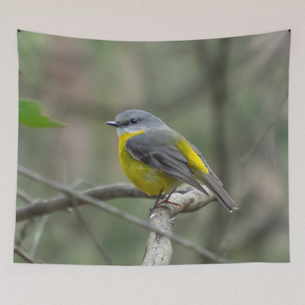 Item preview, Eastern Yellow Robin designed and sold by Cornishinoz.
