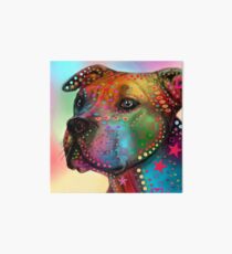 pitbull Art Board