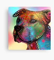 pitbull Metal Print
