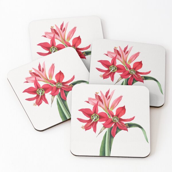Item preview, Amaryllis aulica by De Gouy designed and sold by soulstop.