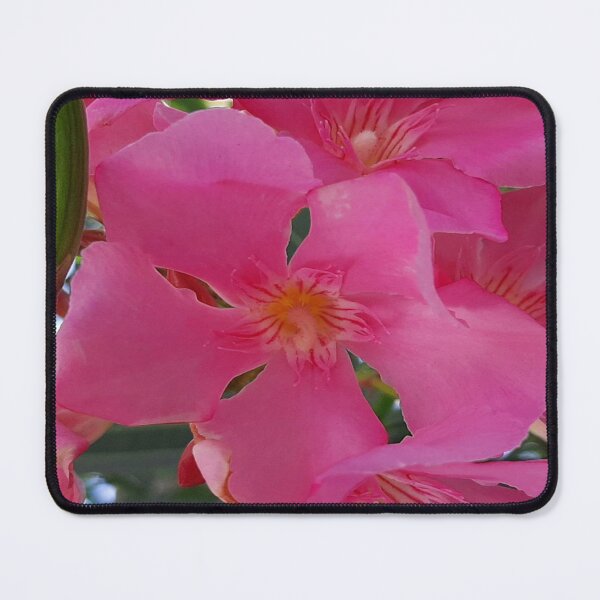 Item preview, chock pink flower designed and sold by paulossilva.