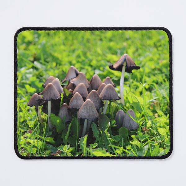 Item preview, Happy little mushrooms designed and sold by PhyllisG-Art.