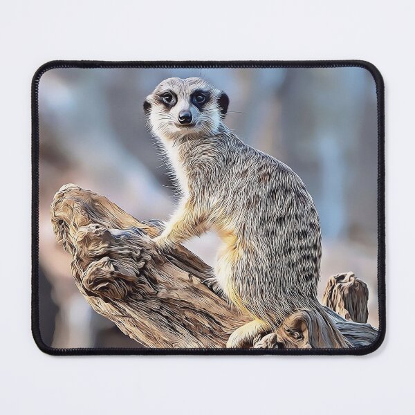 Item preview, Meerkat Magic, Photography + Digital Art designed and sold by Andrew Goodall.