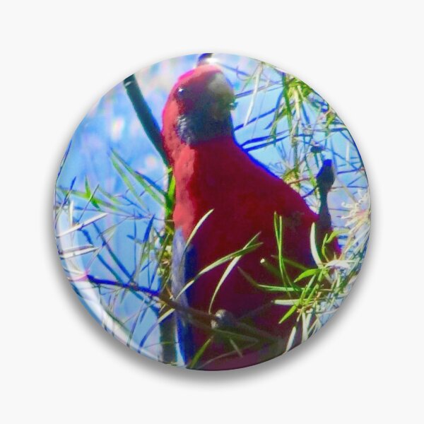 Artikelvorschau, Eine Crimson Rosella, die im Busch füttert! entworfen und verkauft von Mickangelhere.