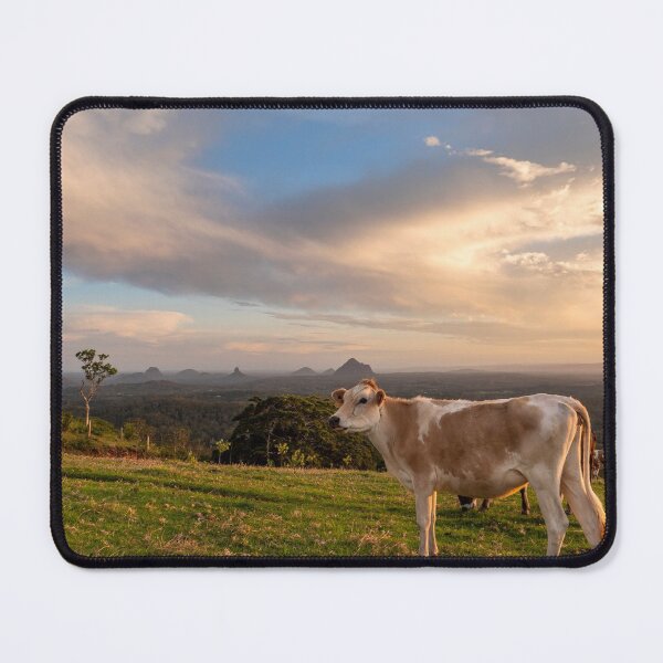 Item preview, Rural Sunset With Cows, Maleny Queensland designed and sold by Andrew Goodall.