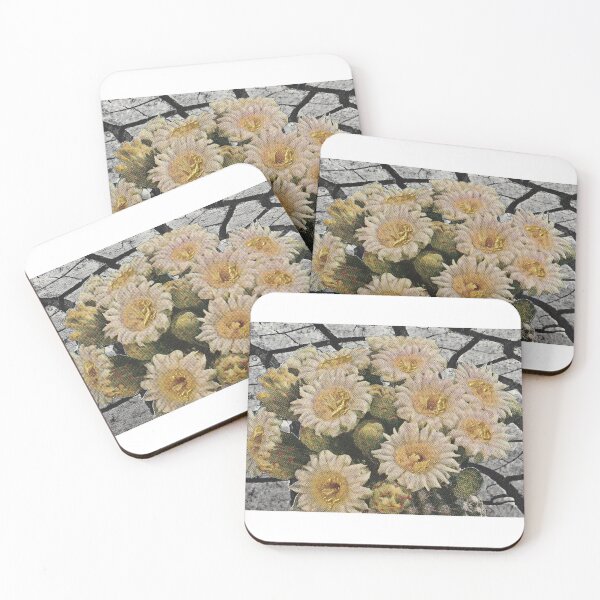 Item preview, 29 designed and sold by TinyCollage.