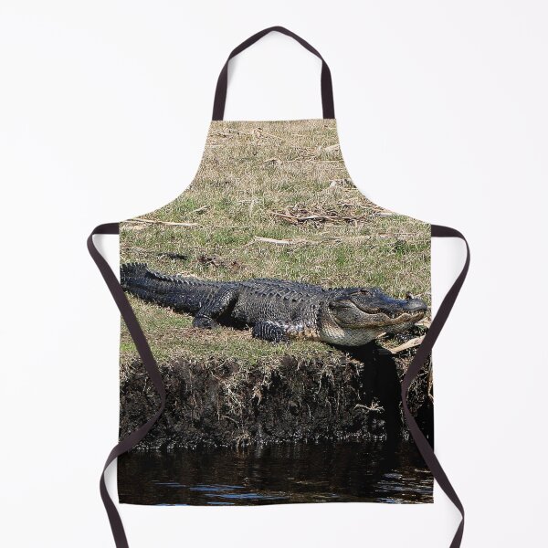 Item preview, Florida swamp alligator, USA designed and sold by FranWest.