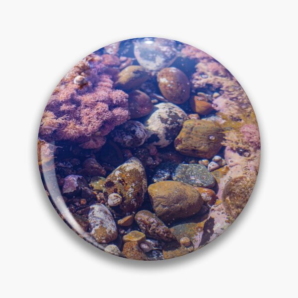 Item preview, pink coast tidepools designed and sold by beenplanted.