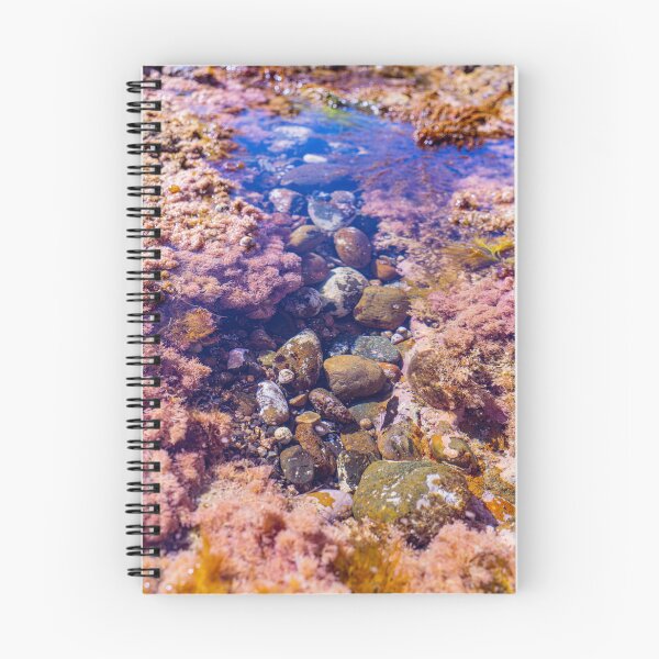 Item preview, pink coast tidepools designed and sold by beenplanted.