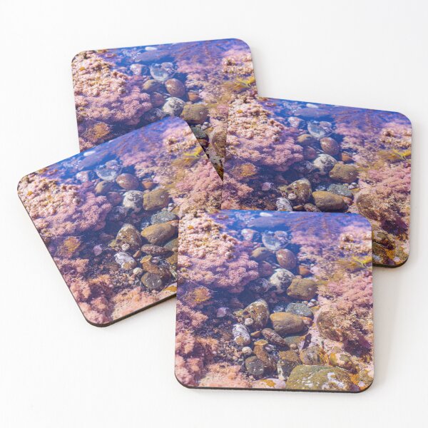 Item preview, pink coast tidepools designed and sold by beenplanted.