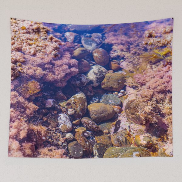 Item preview, pink coast tidepools designed and sold by beenplanted.