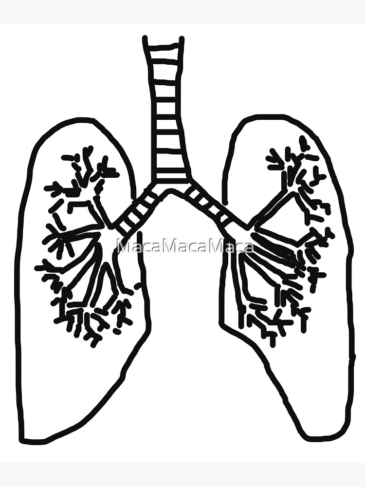 Human Lungs. Respiratory System. Healthy Lungs. Light in the Form of a  Tree. Line Art. Drawing by Hand. Medicine. Stock Vector - Illustration of  leaf, isolated: 104933838
