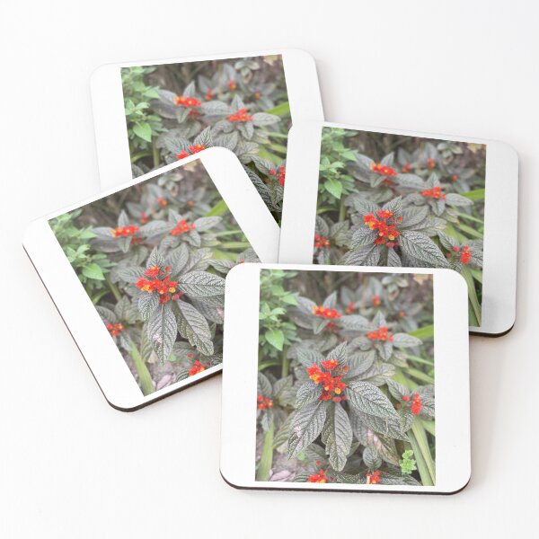 Item preview, Reds in the Wild designed and sold by iAmmAja43.